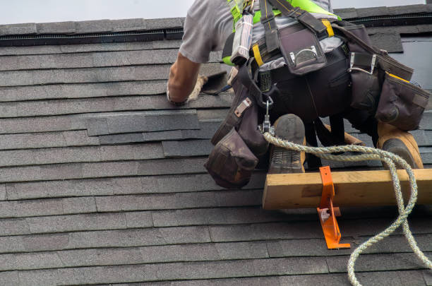 Roof Gutter Cleaning in Galesburg, MI