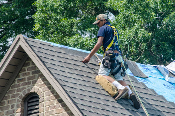 Best Storm Damage Roof Repair  in Galesburg, MI